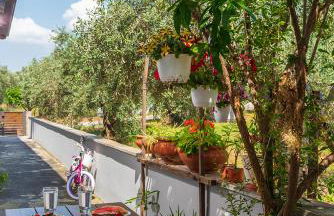 The backyard- Κατοικία στην Αγριά, Βόλου - Foto 21