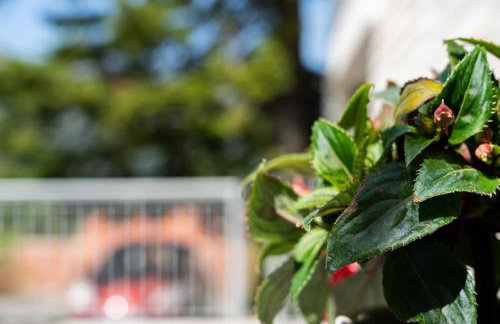 Bokarica Apartments - Photo 39