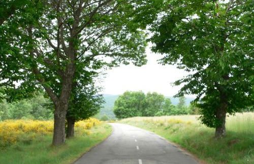 El Taller De La Seda - Foto 48