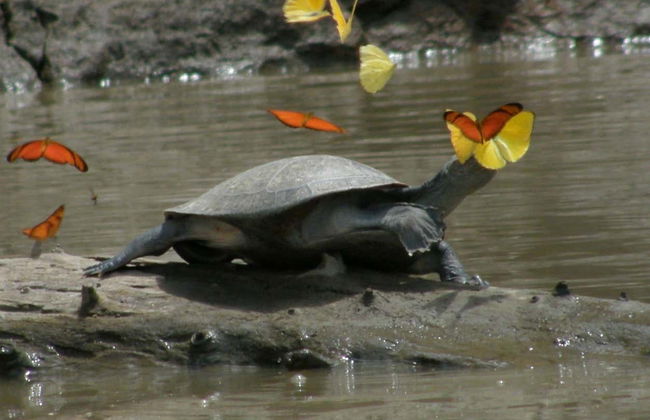 2, 3 or 4-Day Tres Chimbadas Lake Tour - Photo 3