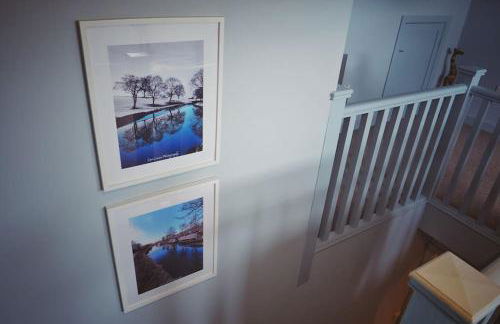 The Wild Daisy - Foto 19