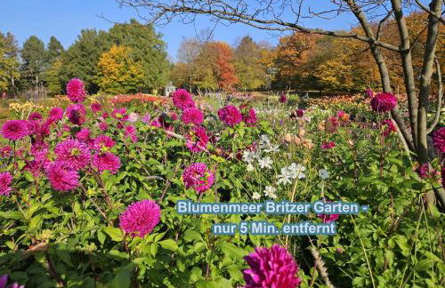 4 Sterne Souterrain Apartment Alt-Mariendorf - Foto 9