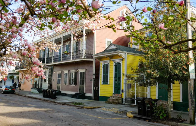 Visita guiada pelo Bairro Francês - Foto 4