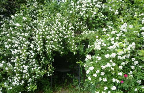 Apartment Landhaus Wildfeuer by Interhome - Foto 28