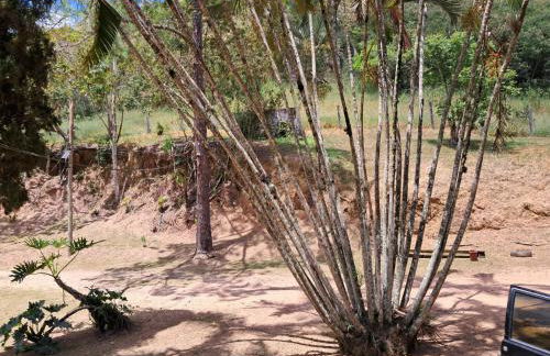 Sítio Vale Encantado - Foto 8