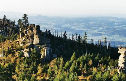 Ferienwohnung am Woid - herrliche Alleinlage - vegane Einrichtung - Foto 35