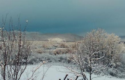 Studio Apartments Ante - Foto 27