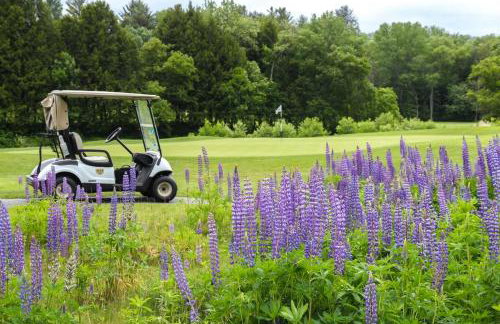 Quechee Hollow Comfort - Foto 6