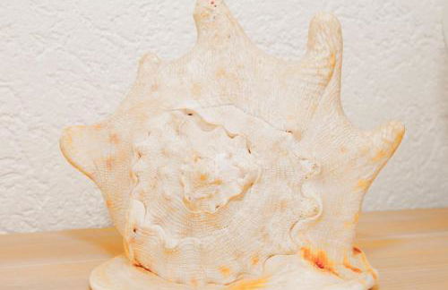 BodenseeDomizil - Foto 12