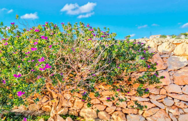 Holiday Residence La Madonnina - Foto 79