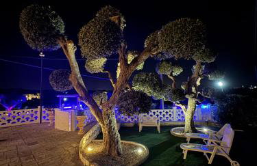 Regina di Puglia Casa Vacanze - Foto 31