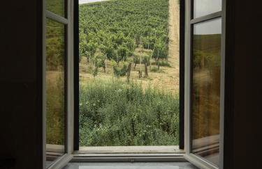 Guest House - Azienda Oddone Prati - Foto 8