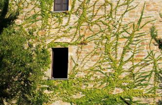 Villa Cavagnetti - Foto 7