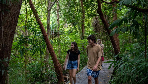Traghetto per l'isola Fitzroy - Foto 4, Nella foresta dell'isola di Fitzroy