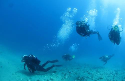 Rustic- Chic Villa in a Private Olive Grove - Filiatra - Foto 33