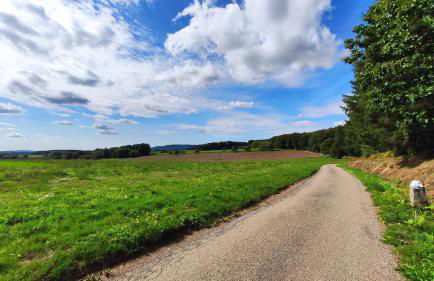 1 studio et 2 appartements 3 étoiles au calme à 150 m des thermes - Bains-Les-Bains - Foto 49