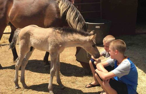 Amazing Loft on Horse Ranch - Foto 32