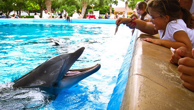 SeaWorld San Antonio - Foto 3