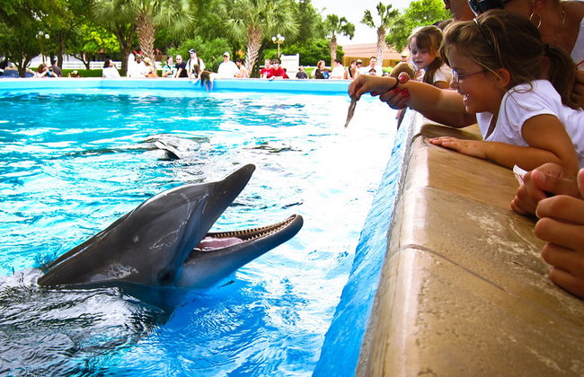 SEAWORLD SAN ANTONIO - Foto 5