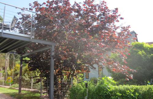 Apartment Haus Sembachtal - Foto 17