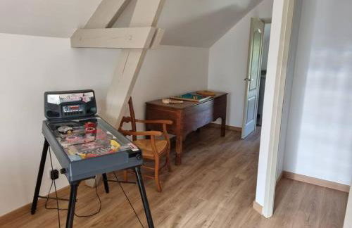 proche chateaux et zoo de beauval: gîte de sologne - Foto 14