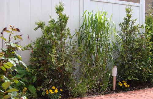 Silbermöwe - Foto 13