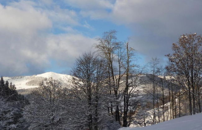 Chalet in Saalbach Near Ski Lift - Foto 29