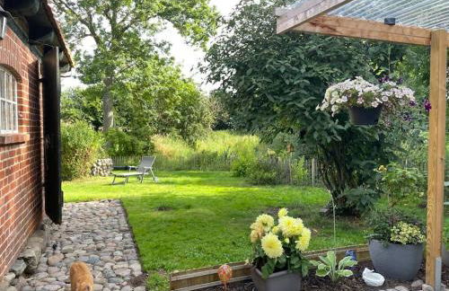 idyllisch gelegenes Ferienhaus nähe Heiligenhafen - Foto 7