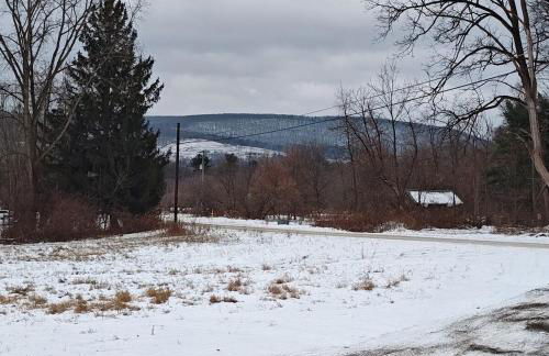 Unique Yet Cozy Victorian Home in Tioga County PA - Foto 17