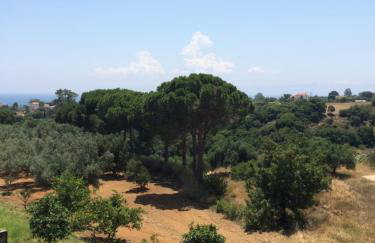 Koukounaries Studios - Foto 17