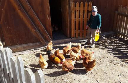 Ferienwohnungen Kuentnerhof - Foto 36