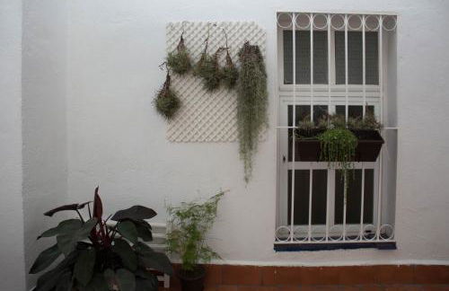 ESTUDIO EN ZONA CENTRO DE MALAGA - Photo 10