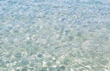 Casa Olla - Photo 16