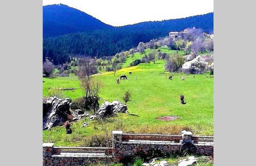 Elati Hills - Photo 39