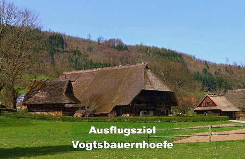 Ferienhaus Schwarzwald bei Straßburg Europapark für 12 Personen auf 160qm - Foto 29