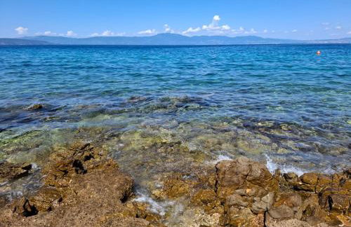 FoREST Heritage Apartment - Foto 73