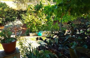 Apartman Garma - Photo 22