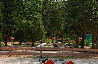 Haus Frau Elster - Foto 21