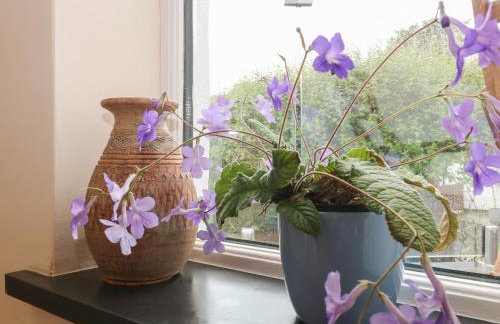 Little Hamlin - Foto 11