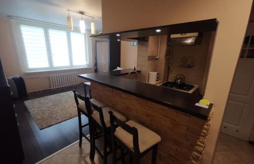 Aparatament PUŁAWY Centrum - Foto 12