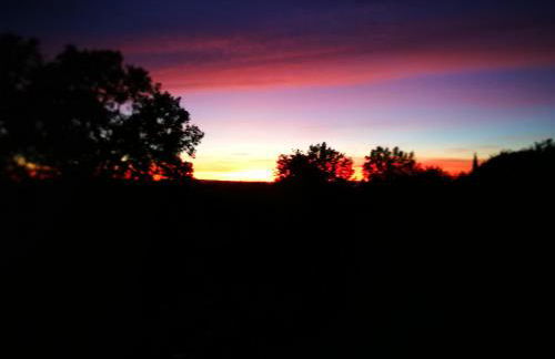 Podere La Branda - Foto 80