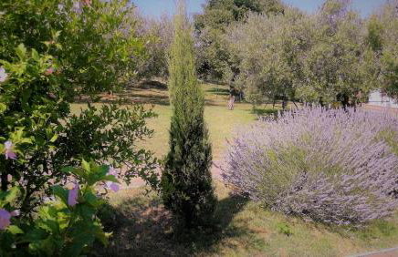 Moratto's Apartments - Foto 63