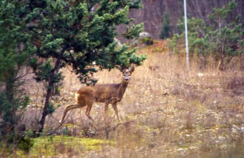 Casa Vacanze La Villa - Foto 29
