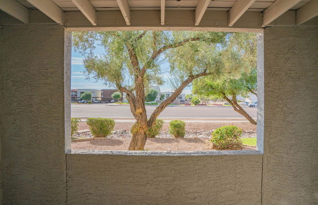 ROVE LIVING/KB - Merino - Foto 53