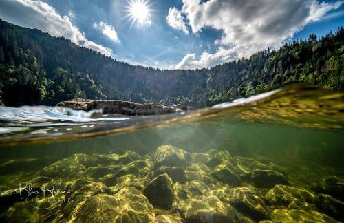Apartment "Blackforest", Todtnau, 5 Schlafzimmer - Foto 20