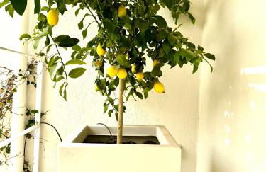 Casa di design con mini-pool - Foto 10