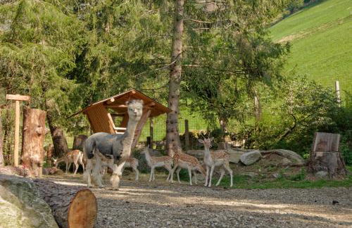 Enzianhof - Nature Apartments - Photo 23