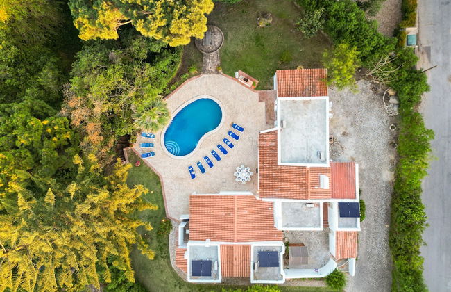 Villa AlGharif - Photo 72