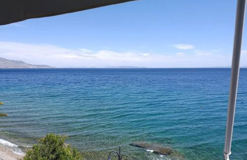 The Nest Apartment - Foto 17