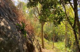 Chalé Laranja - Sítio Caldeirão - Foto 48